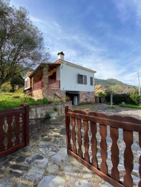 San Teodoro Peaceful Home